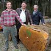 Für strahlende Gesichter bei den Verantwortlichen der FBG Würzburg, Geschäftsführer Timo Renz, ausgeschiedener Geschäftsführer Georg Baunach und stellvertr. FBG-Vorsitzender Uwe Klüpfel sorgte diese "Braut", ein stattlicher Eichenstamm, der mehr als 6700 Euro brachte.