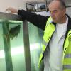 Berthold Götz, der stellvertretende Werksleiter, füttert die Fische in ihrem Bassin. Berthold Götz, der stellvertretende Werksleiter, füttert die Fische in ihrem Bassin.