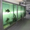 Das Bassin, in dem die Koi-Karpfen und Goldfische schwimmen, fasst 5000 Liter. Es wird mit gereinigtem Abwasser gespeist.