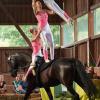 Holten den Deutschen Pokal nach Unterfranken: Die Voltigierer des Reitvereins Pleichachtal.