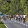 Szene des Autofreien Sonntags im Jahr 2015: Am 6. August heißt es wieder Bahn frei für Radfahrer und Inlineskater im „Lieblichen Taubertal“. In diesem Jahr wird die motorfreie Strecke zwischen Tauberbischofsheim, Werbach, Wertheim und Freudenberg am Main eingerichtet. Auf mehr als 50 Kilometern kann Freizeitspaß pur erlebt werden.