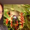 undefined undefined