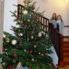 Als Beitrag zum „Fairen Landkreis Würzburg“ gibt es auch in diesem Jahr einen „Fair Tree“.