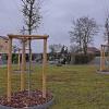 Die drei neu gepflanzten Bäume im Hausener Friedhof. Ab sofort können hier anonyme Baumbestattungen gemacht werden.