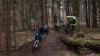 Die Meinungen zum geplanten Flowtrail gehen bei den Burgsinner Gemeinderäten auseinander. Das Bild zeigt eine solche Mountainbikestrecke bei Bischofsheim in der Rhön.
