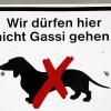 Hunde dürfen auf dem LGS-Gelände nicht Gassi gehen. Symbolfoto: Jan Woitas, DPA