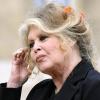 Brigitte Bardot (Archivfoto aus dem Jahr 2007) blickt in einem Buch auf ihr Leben zurück.