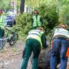 Mit vereinten Kräften: Aufräumarbeiten am Tag danach in der Stadt Würzburg im Ringpark in Höhe der Universität am Sanderring Foto: Thomas Obermeier Mit vereinten Kräften: Aufräumarbeiten am Tag danach in der Stadt Würzburg im Ringpark in Höhe der Universität am Sanderring Foto: Thomas Obermeier