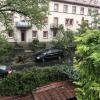 In der Keesburgstraße in Würzburg warf Fabienne einen Baum um und auf ein geparktes Auto. Foto: Simone Gutwerk
