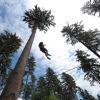 Auf einer Seilrutsche geht es im Zipline-Park am Ochsenkopf in luftiger Höhe durchs Fichtelgebirge. Auf einer Seilrutsche geht es im Zipline-Park am Ochsenkopf in luftiger Höhe durchs Fichtelgebirge.