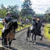 In Bewegung: Beim Sportturnier der Islandpferdefreunde in Urspringen gingen über 100 Reiter an den Start.
