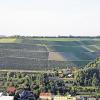 Durch die Lage Teufelskeller führt die Weinwanderung an Christi Himmelfahrt.
