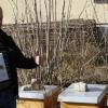 Daumen hoch: Der Unterspiesheimer Landwirt Benedikt Schuster setzt dem Insektenrückgang eine besondere Aktion entgegen, indem er auf Ebay gegen Bezahlung Patenschaften für eine eigens angelegte Blühfläche anbietet. Die im Internet gestellte Frage, ob er eventuell durch eine zusätzliche Förderung aus Agrarmitteln doppelt für die Wiese kassieren würde, verneint Schuster. 