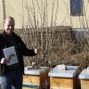 Der Unterspiesheimer Landwirt Benedikt Schuster setzt in Eigeninitiative dem Insektenrückgang etwas entgegen: Er bietet für jedermann Blühfläche an. Der Unterspiesheimer Landwirt Benedikt Schuster setzt in Eigeninitiative dem Insektenrückgang etwas entgegen: Er bietet für jedermann Blühfläche an.