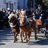 Klein aber oho: Um Anschluss an die Großen zu halten, legten die beiden Ponys beim Festzug einen kurzen Zwischen-Galopp ein.