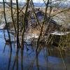 Imposanter Bau: Die Biberburg im Revier Störaugraben. Imposanter Bau: Die Biberburg im Revier Störaugraben.