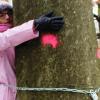 Durch das symbolhafte Anketten an zur Fällung bestimmte dicke Buchen im ehemaligen Schutzgebiet "Hoher Buchener Wald im Ebracher Frost" hatte die oberfränkische Bundestagsabgeordnete der Grünen, Lisa Badum, im Dezember gegen die dort vom staatlichen Forstbetrieb Ebrach durchgeführten Hiebsmaßnahmen protestiert. Durch das symbolhafte Anketten an zur Fällung bestimmte dicke Buchen im ehemaligen Schutzgebiet "Hoher Buchener Wald im Ebracher Frost" hatte die oberfränkische Bundestagsabgeordnete der Grünen, Lisa Badum, im Dezember gegen die dort vom staatlichen Forstbetrieb Ebrach durchgeführten Hiebsmaßnahmen protestiert.