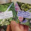 Eine Auswahl an selbst geernteten Blumen-, Kräuter- und Gemüsesamen sind in der Greßthaler Saatgut-Tauschbox zu finden. Eine Auswahl an selbst geernteten Blumen-, Kräuter- und Gemüsesamen sind in der Greßthaler Saatgut-Tauschbox zu finden.