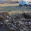 Ein Gemisch aus Gartenabfällen und Restmüll ist derzeit über eine Wiese nahe dem Neuen See bei Gerolzhofen verstreut. Die Polizei ist eingeschaltet.