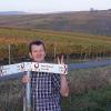 An der Kreuzung nach Neuses am Berg hat der Wanderer bereits die Weinberge der Maininsel im Rücken.
