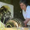 Imkerin Annette Seehaus-Arnold beobachtet auf diesem Archivfoto die Entwicklung eines Bienenvolks. Doch auch ihre Aktivitäten standen unter Beobachtung: Der Bezirks- und Landesverband Bayerische Imker schloss die Rhön-Grabfelder Kreisvorsitzende diesen Sommer wegen „verbandsschädlichen” Verhaltens aus.
