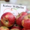 Am Sonntag ist wieder Apfelmarkt in Hausen.