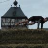 2019 wird es wieder einen Braveheart-Battle geben – aber nicht vor der Silhouette von Bischofsheim in der Rhön. Steinach in Thüringen ist der der Austragungsort.