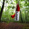 ARCHIV - Reste von Absperrbändern der Polizei hängen am 18.06.2015 in einem Wald bei Kist (Landkreis Würzburg). In dem Waldstück wurde der zuvor entführte Sohn des Unternehmers Würth aufgefunden. ARCHIV - Reste von Absperrbändern der Polizei hängen am 18.06.2015 in einem Wald bei Kist (Landkreis Würzburg). In dem Waldstück wurde der zuvor entführte Sohn des Unternehmers Würth aufgefunden.