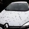 „Mein Auto sah aus, wie wenn es die Masern hätte“, berichtete die Besitzerin dieses Wagens, der wie andere am Freitag auf dem NKD-Parklatz mitten in der Gerolzhöfer Altstadt stand, als dort ein Flecken-Regen über die Parkfläche niederging.