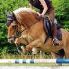 Verschiedene Reitsportarten gibt es auf dem Hoffest in der Reitschule Petra Kronwitter zu sehen.