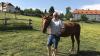 Hans Steger und sein Pferd Athene.