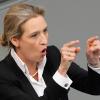 AfD-Politikerin Alice Weidel wünscht sich eine neue Medienlandschaft und wollte dafür von Steve Bannon lernen.