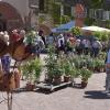 Allerlei für den Garten und Kunsthandwerk konnte man bei den 2. Bronnbacher Gartentagen erwerben.