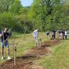Gemeinsame Arbeit im Geburtsbaumgarten: Familien aus Kreuzwertheim pflanzten verschiedene Obstbäume.
