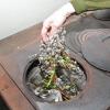 Palmkätzchen aus dem Vorjahr dienen als Brennmaterial.
