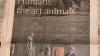 Staunen über Tiepolo: Simon Schama in der Würzburger Residenz (Ausschnitt aus dem Beitrag in der Financial Times)