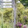 Im Botanischen Garten Würzburg.
