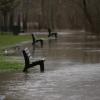 Der Main tritt wegen anhaltender Regenfälle in der Sanderau in Würzburg über die Ufer.