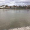 Leichtes Hochwasser, aber noch ist am Main auch nach dem Regen am Mittwoch alles im grünen Bereich. Allerdings rechnet das Wasser- und Schifffahrtsamt damit, dass die Schifffahrt im Lauf des Donnerstags eingestellt werden muss.