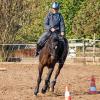 Zick-Zack-Kurs: Der Slalomritt zählte zu den Sonderaufgaben beim Orientierungsritt rund um Euerhausen. Martina Schafferhans und Antaris bestanden die Prüfung mühelos.