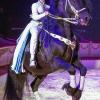 (ts)   Der Circus Roncalli kommt erstmals nach Schweinfurt. Vom 28. bis 31. Oktober gastiert das von den Wienern Bernhard Paul und André Heller 1976 gegründete Circustheater auf dem Volksfestplatz. Für das Programm „Salto Vitale“ bringt Bernhard Paul bisherige Roncalli Show Höhepunkte und außergewöhnliche junge Talente zusammen und präsentiert ein „Best of“ des Circus. Tickets bei Mainticket,  (0931) 6001 6000, info@mainticket.de, in den Geschäftsstellen der Main-Post und an der Abendkasse. Im Bild Kelly Saabel bei ihrer Präsentation der Hohen Schule.