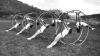 Rhönrad vor der Festung Marienberg 1956