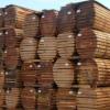 Schnittholzverkauf geht weiter: Die neuen Investoren, Sägewerk Deblich aus Sondheim und Holz Meier aus Delbrück,  haben Trocknung und Lagerkapazität der insolventen Nordbayerischen Holzindustrie übernommen und betreiben sie weiter.