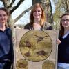 An Schulwandbilder wie jene Maikäferdarstellung von 1930 können sich viele Senioren noch gut erinnern. Im Projekt „Bayerisches Bilder-Gedächtnis online“  der Forschungsstelle Historische Bildmedien der Uni Würzburg gehen (von links) Ina Uphoff, Theresa Weinert und Eva Zimmer diesen Erinnerungen nach. Fotograf: epd-bild/Pat Christ