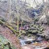 (jos)   Von einem erfolgreichen Bergrettungseinsatz am Freitagnachmittag in der Klingelbachschlucht nahe dem Kloster Triefenstein berichtet das Bayerische Rote Kreuz. Demnach ist ein Jugendlicher dem Augenschein nach offenbar beim Klettern ohne Fremdeinwirkung etwa zehn Meter tief abgerutscht. Er erlitt dabei schwere Verletzungen und wurde mit dem Rettungshubschrauber Christoph 18 in eine Würzburger Klinik gebracht. Ein Freund, der ihn bei seinem Ausflug begleitete, alarmierte um 14.17 Uhr die Hilfskräfte. Daraufhin rückten die Bergwacht Frammersbach, der BRK-Helfer vor Ort aus Triefenstein, ein Rettungswagen des Roten Kreuzes aus Marktheidenfeld und der BRK-Einsatzleiter Rettungsdienst zum Unfallort. Der Patient wurde in einer Gebirgstrage mit Seilsicherung schonend von der Bergwacht Frammersbach in Zusammenarbeit mit der Feuerwehr Trennfeld gerettet. Vom Kreisverband Main-Spessart des Roten Kreuzes waren insgesamt 13 haupt- und ehrenamtliche Einsatzkräfte im Einsatz. Außerdem wurde die Feuerwehr Trennfeld inklusive der Kreisbrandinspektion mit insgesamt 17 Einsatzkräfte nachalarmiert.