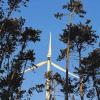 Im Naturpark nicht gewollt: Der Planungsverband hat sich dagegen entschieden, Zonen für Windparks im Spessart auszuweisen.