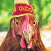 Närrisches Huhn: Vor 500 Jahren landete das Federvieh als Fastnachtshuhn im Kochtopf.