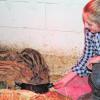 Leckeres aus dem Kochtopf: Sophie Wohlfart bringt den vier kleinen Wildschweinen das Futter, eine Mischung aus Aufzuchtmilch und geschrotetem Getreide.