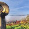 Unten Nebel, oben Sonne: Das seltene Wetter-Schauspiel entdeckte unser Fotograf in den Weinbergen über Sommerhausen.