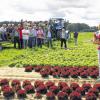 Informationen im Salatbeet: Sibylle Tygges, Geschäftsführerin des Gemüse-Erzeugerrings Mainfranken, erläutert den Teilnehmern des Flurgangs der Gartenbaugruppe Albertshofen, die Kopfsalat-Feldversuche. Sie rechnet vor, dass die Erzeugungs-Preisuntergrenze für die Gärtner bei 29 Cent pro Salatkopf liegt. Darunter legen die Gärtner drauf.